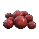 Red Berries