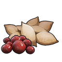 Berry Seeds