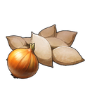 Onion Seeds