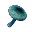 Mysterious Mushroom