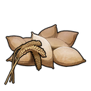 Wheat Seeds